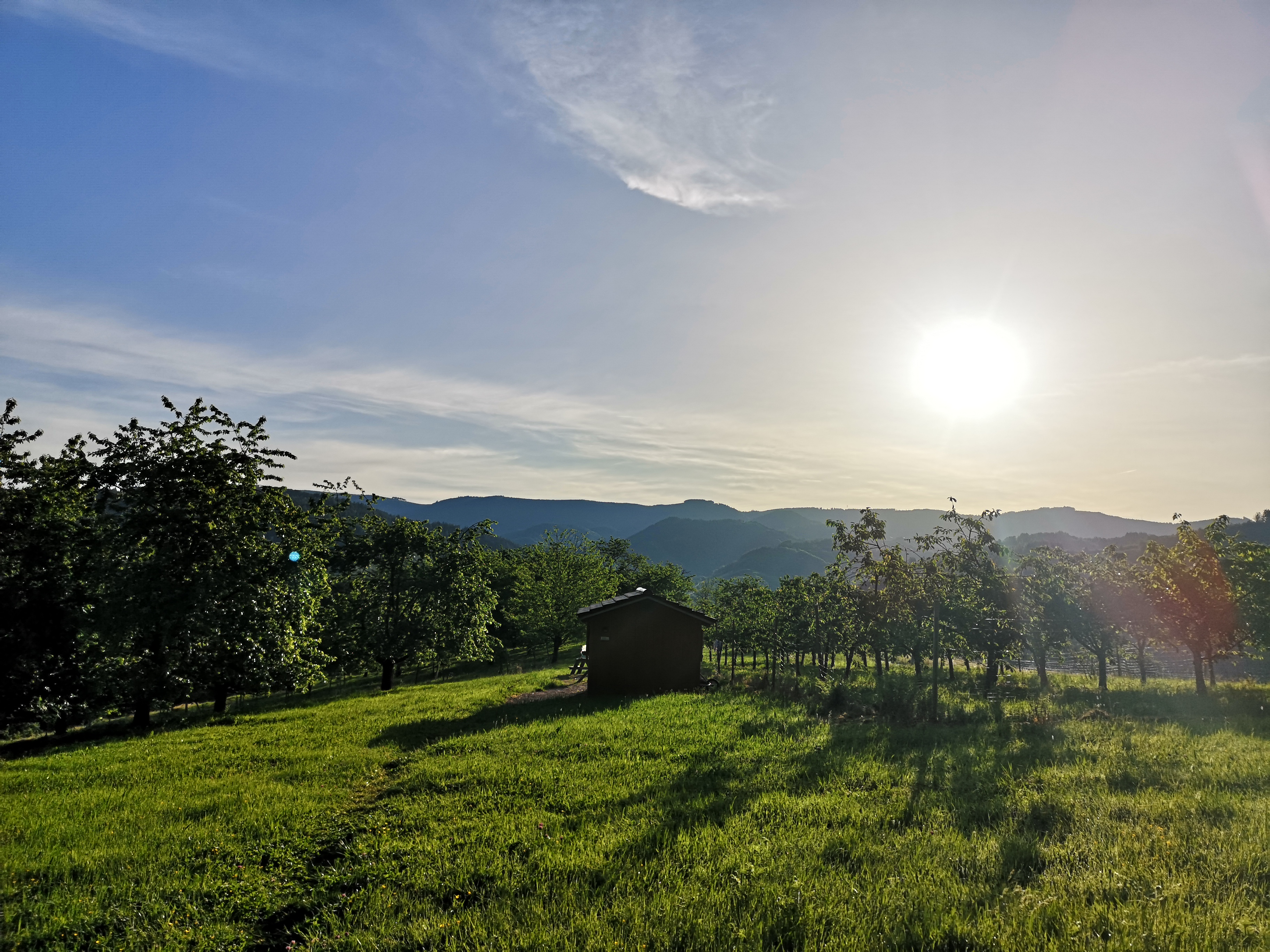 Guten Morgen Renchtal